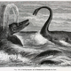 Illustration for article titled Strange 19th Century Drawings of Dinosaurs and Other Extinct Animals